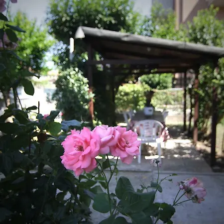 Da Doni Guest house